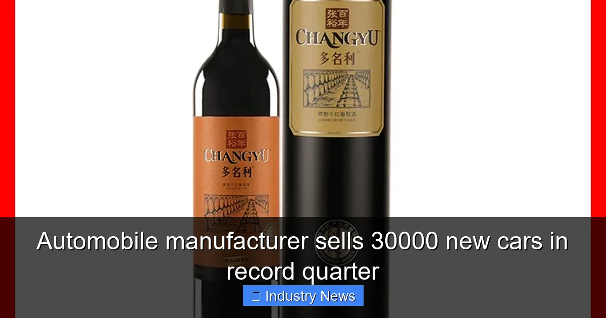 Automobile manufacturer sells 30000 new cars in record quarter