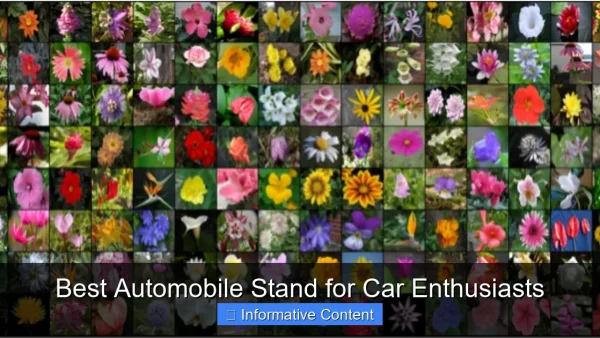 Best Automobile Stand for Car Enthusiasts