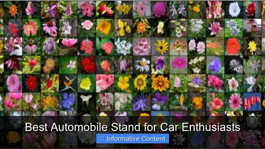 Best Automobile Stand for Car Enthusiasts