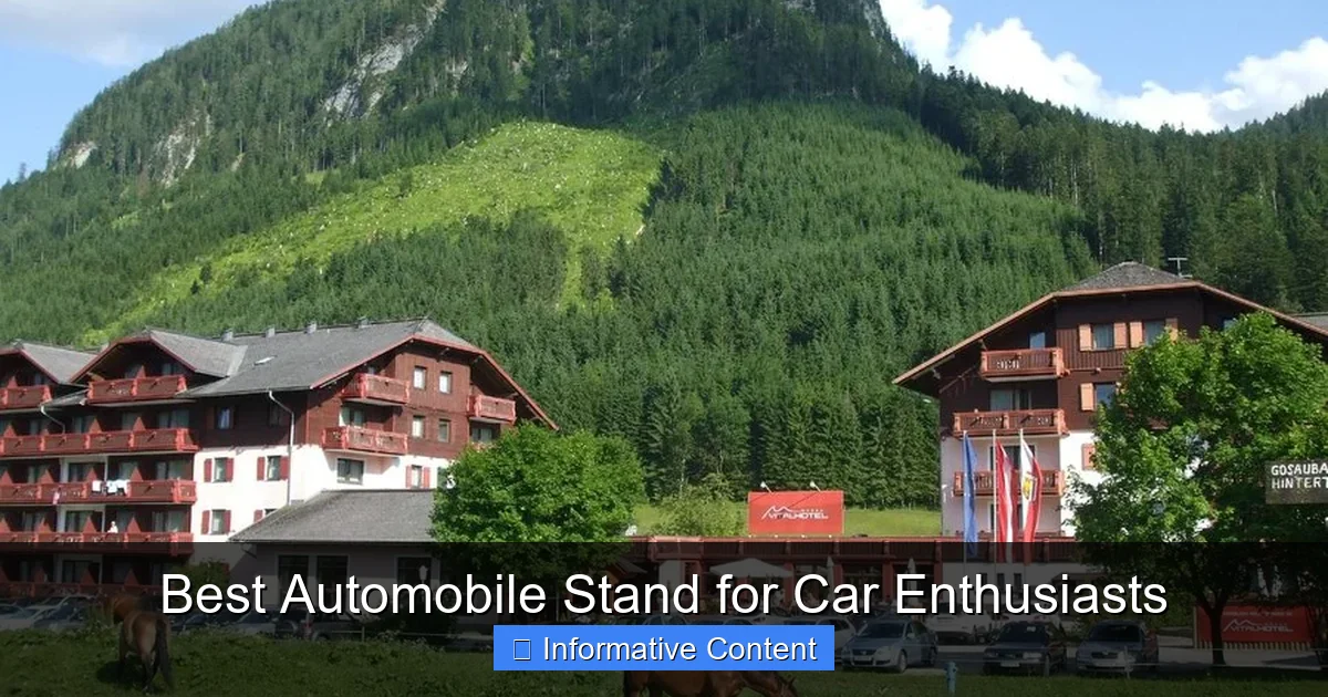 Best Automobile Stand for Car Enthusiasts