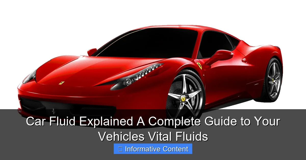 Car Fluid Explained A Complete Guide to Your Vehicles Vital Fluids