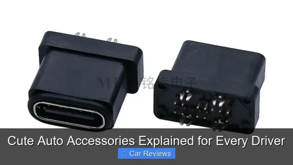 Cute Auto Accessories Explained for Every Driver