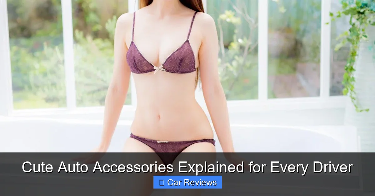 Cute Auto Accessories Explained for Every Driver