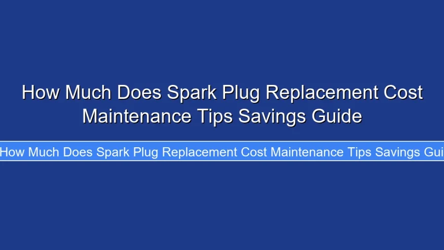 How Much Does Spark Plug Replacement Cost Maintenance Tips Savings Guide