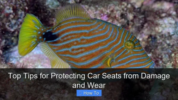 Top Tips for Protecting Car Seats from Damage and Wear