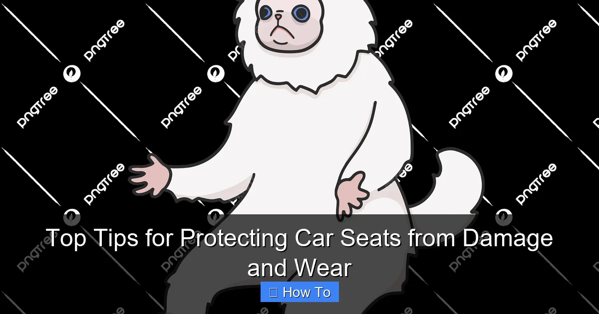 Top Tips for Protecting Car Seats from Damage and Wear